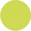 цвет исполнения Lime 408